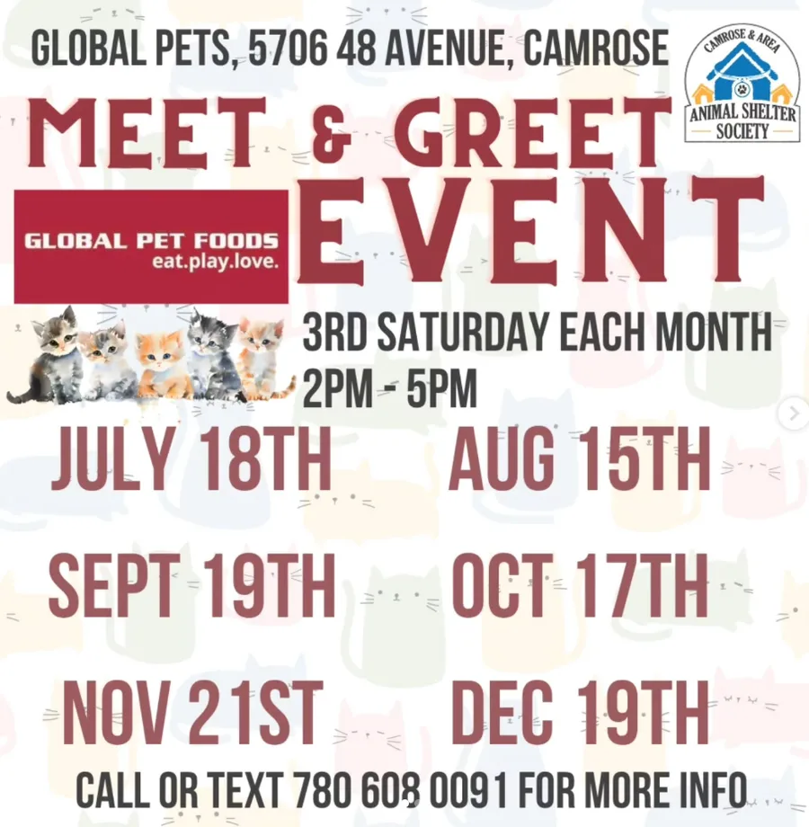 Animal Shelter Meet and Greet (copy)
