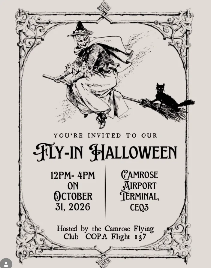 Fly In Halloween